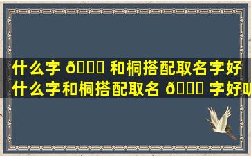 什么字 🐞 和桐搭配取名字好（什么字和桐搭配取名 💐 字好听女孩）